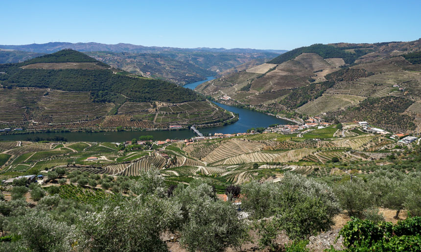 Douro Miradouro Loivos